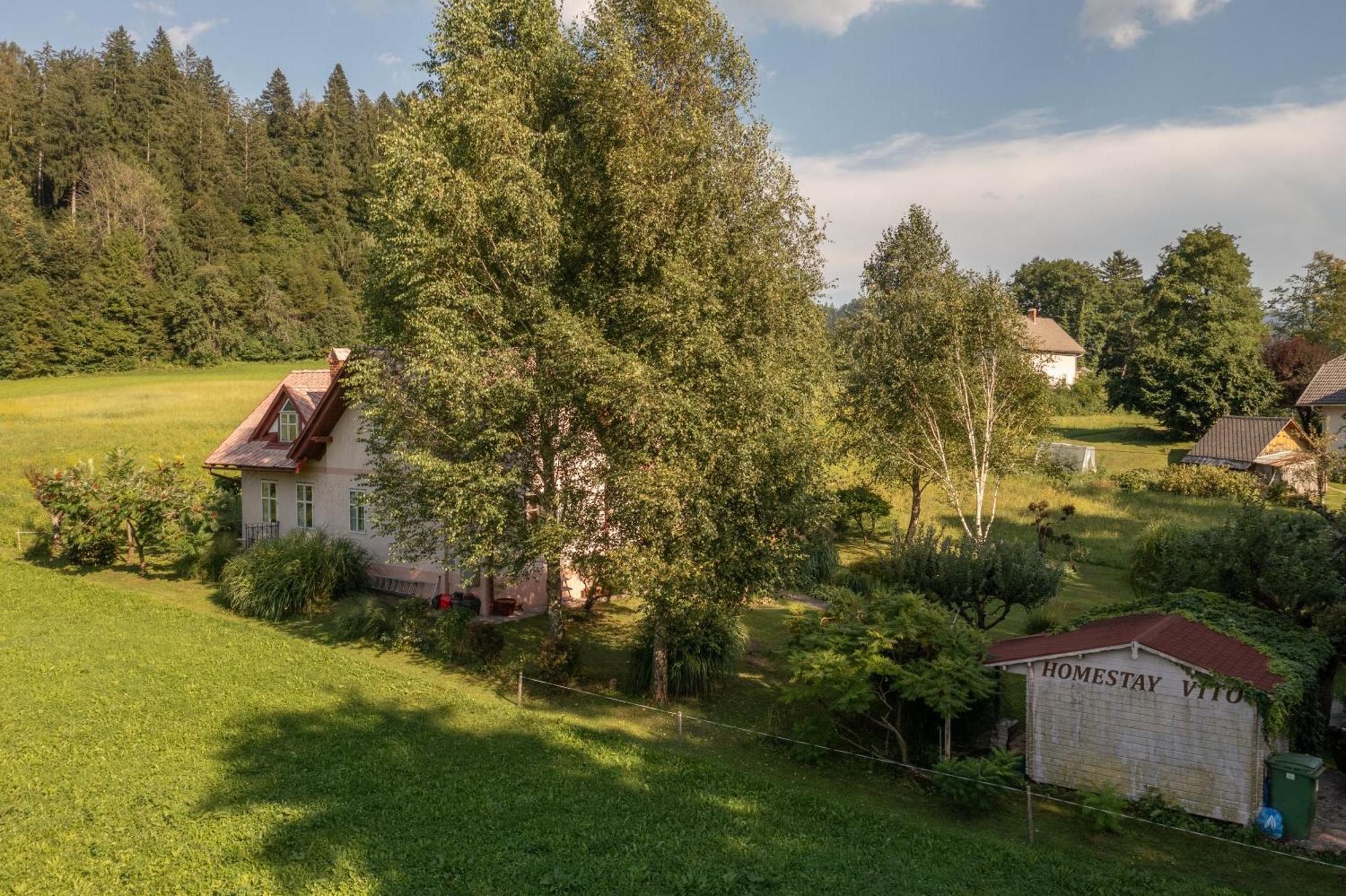 Homestay Vito By Lake Блед Екстер'єр фото